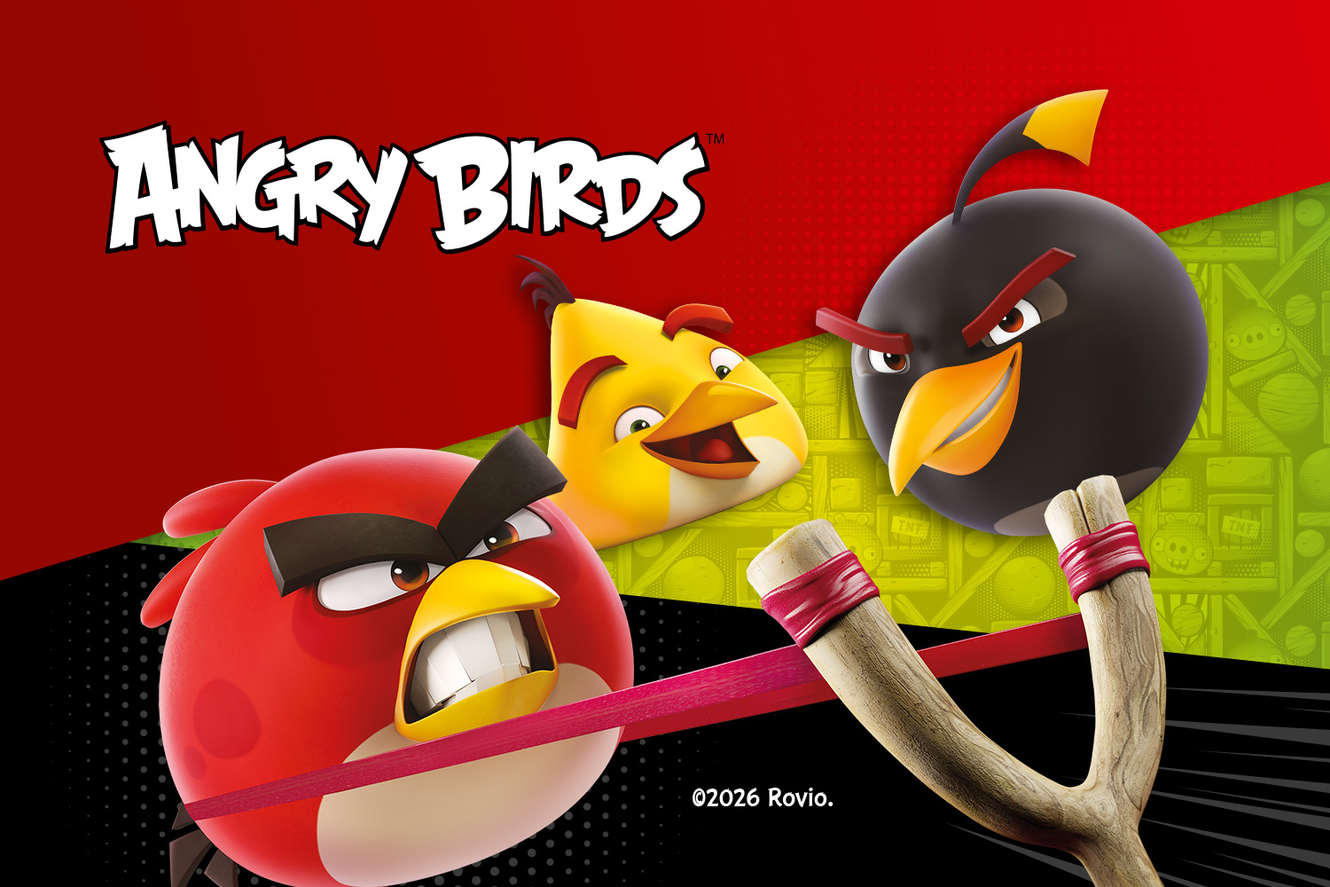 Wydarzenie angry birds Halloween w M1. Ptaki z angry birds na layoutcie graficznym.