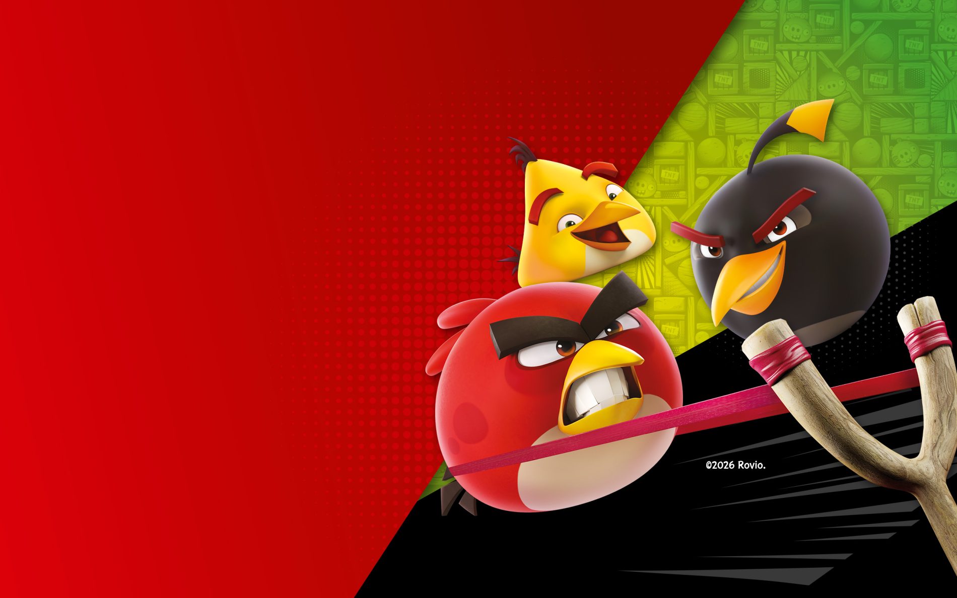 Wydarzenie angry birds Halloween w M1. Ptaki z angry birds na layoutcie graficznym.
